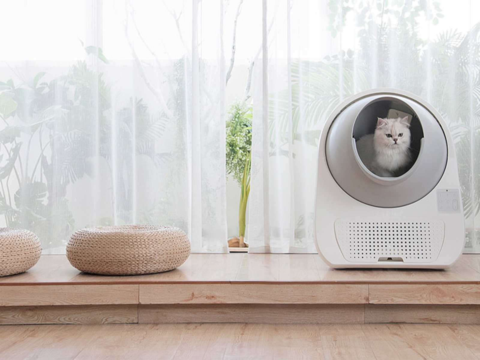 Litter Basin，Intelligent device，