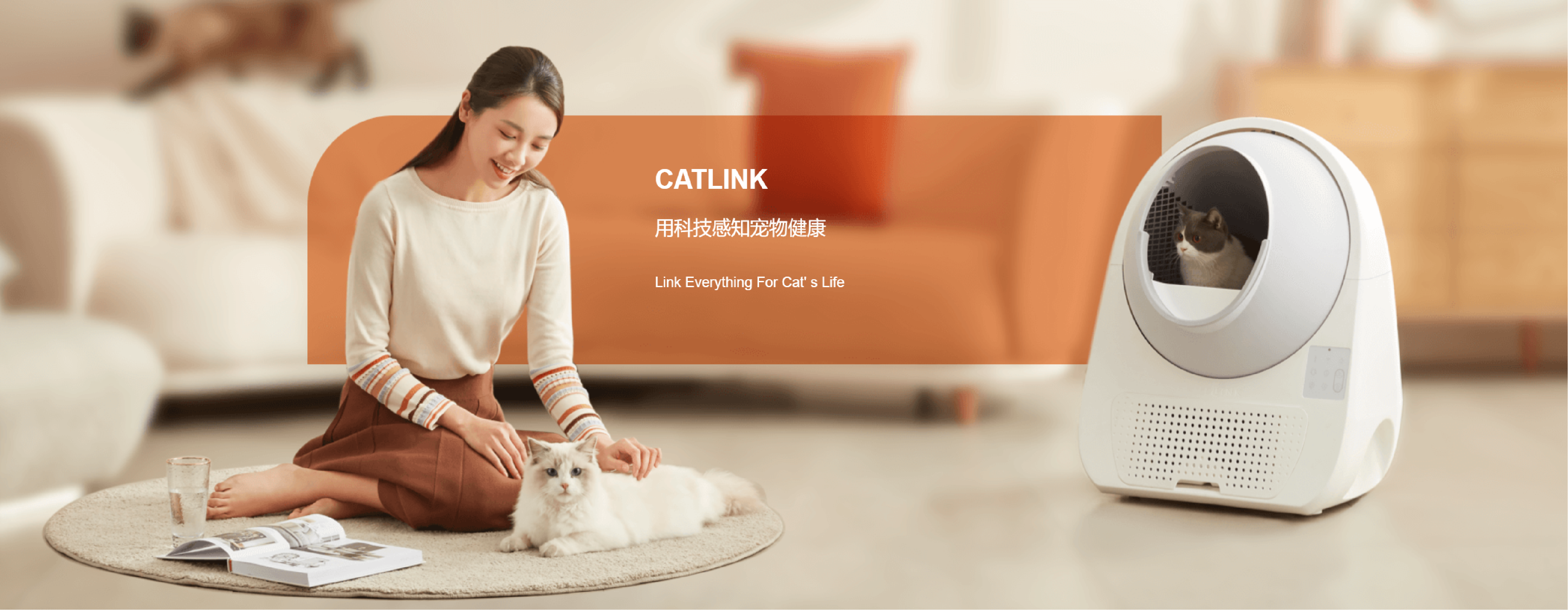 Litter Basin，Intelligent device，