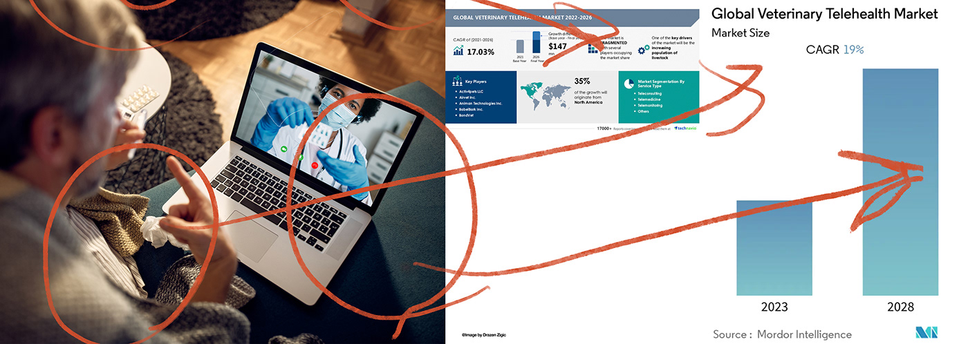 a collar for a horse，long-range，nursing，product design，Sense 1，