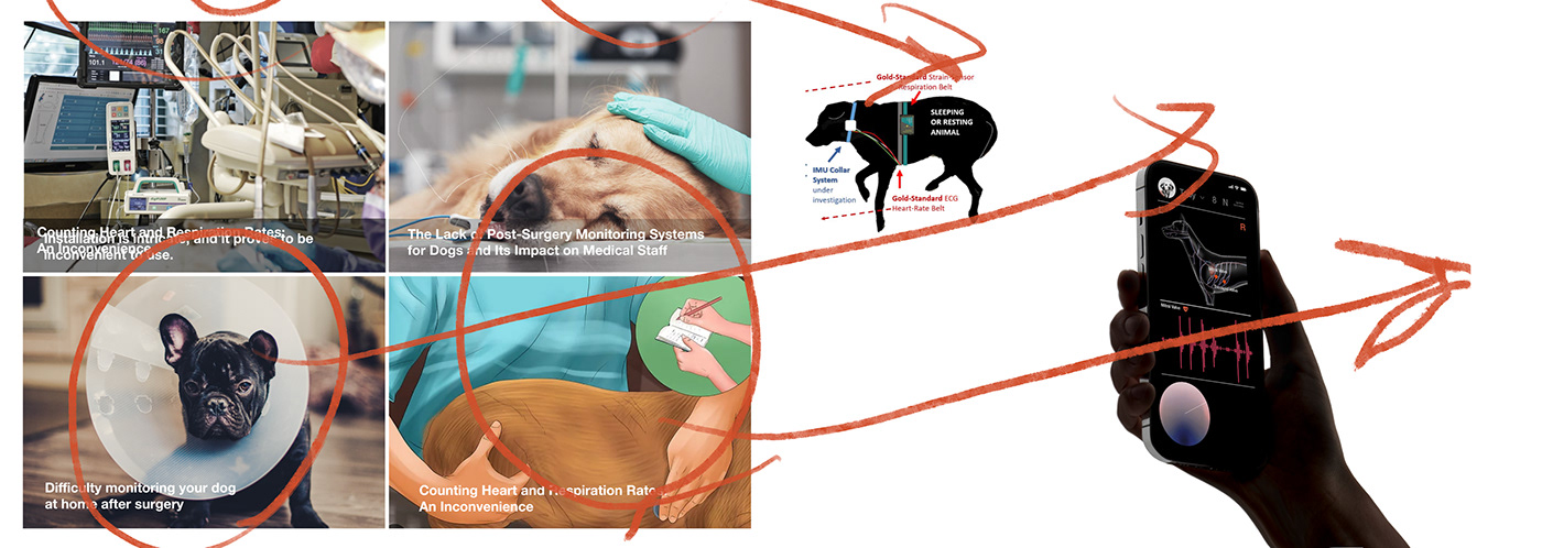 a collar for a horse，long-range，nursing，product design，Sense 1，