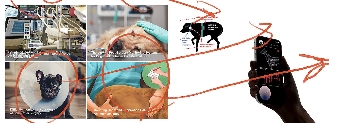 a collar for a horse，long-range，nursing，product design，Sense 1，