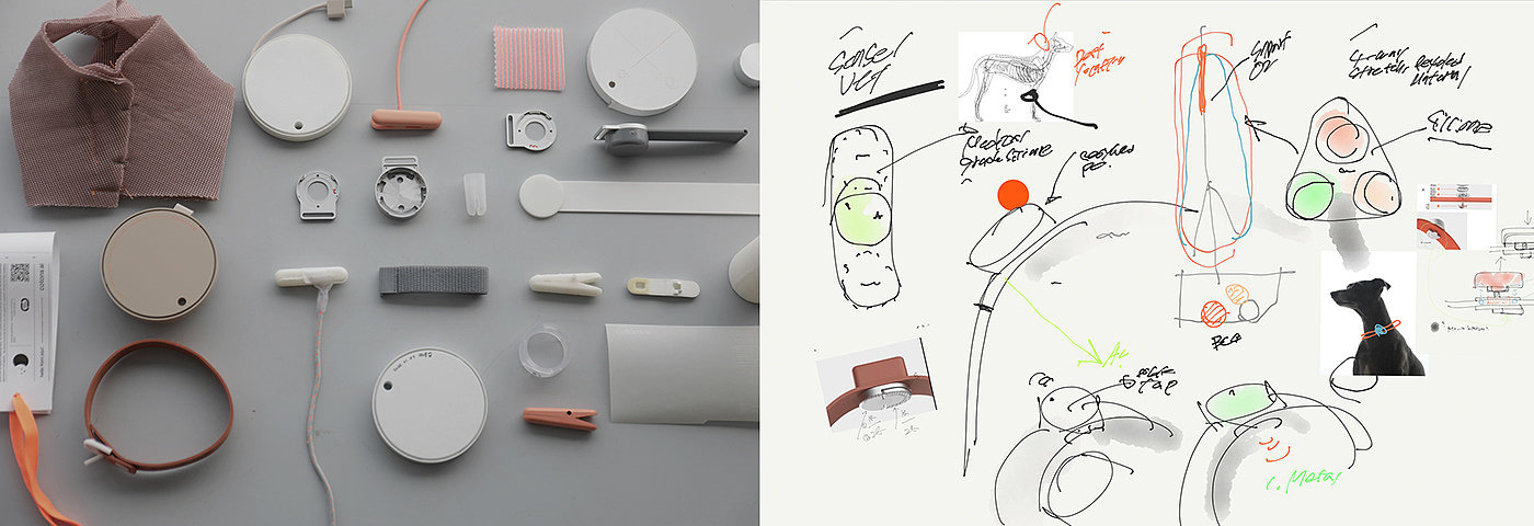 a collar for a horse，long-range，nursing，product design，Sense 1，