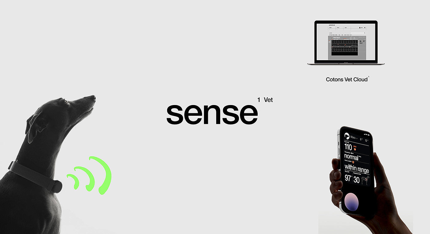 a collar for a horse，long-range，nursing，product design，Sense 1，