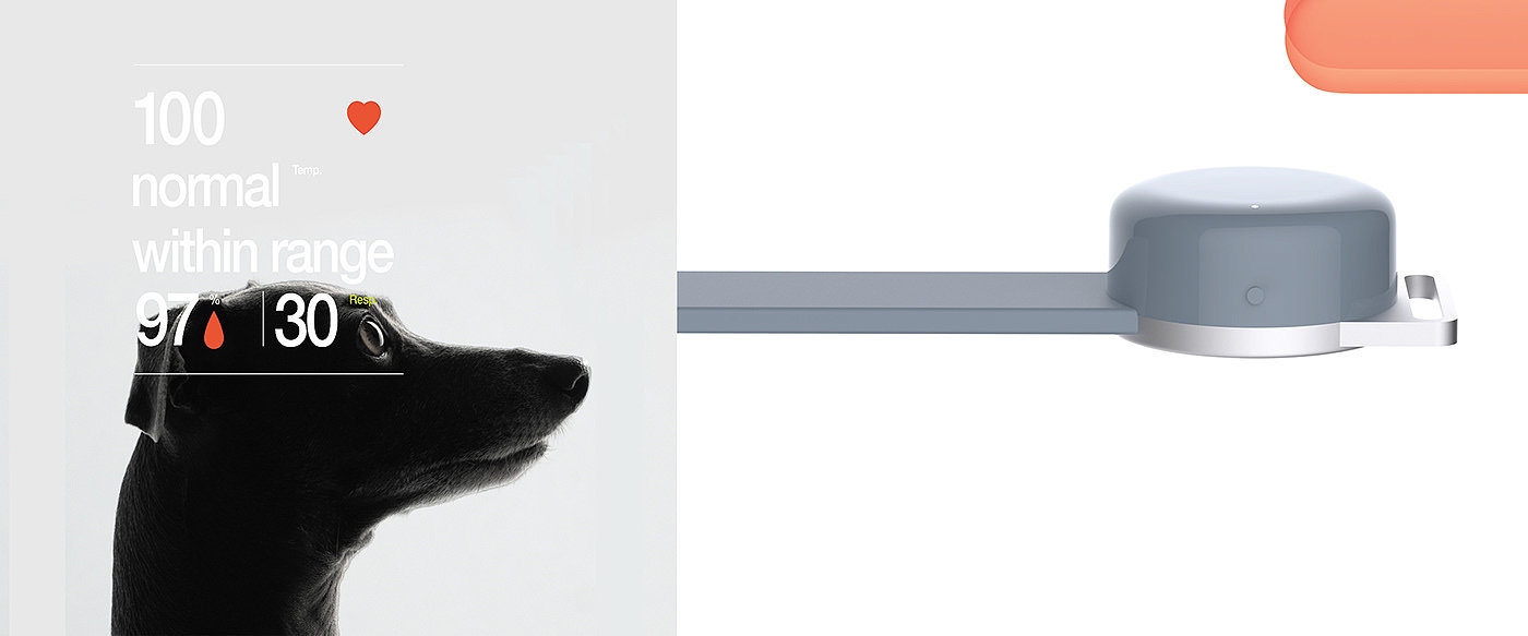 a collar for a horse，long-range，nursing，product design，Sense 1，