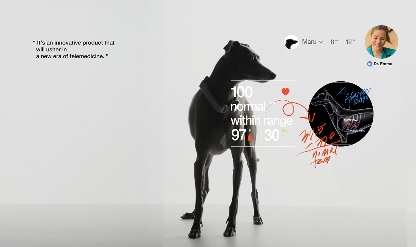 a collar for a horse，long-range，nursing，product design，Sense 1，