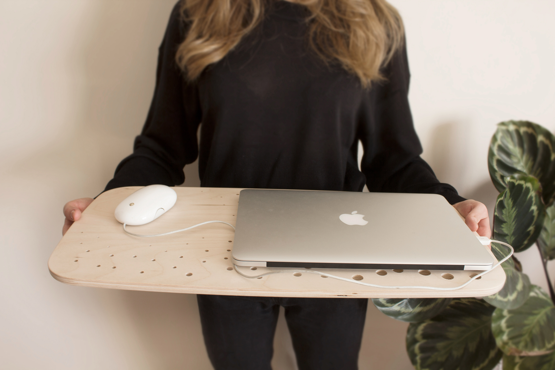 Mobile desk，panel，sow，seed，Porous structure，inspiration，Laptop desk，