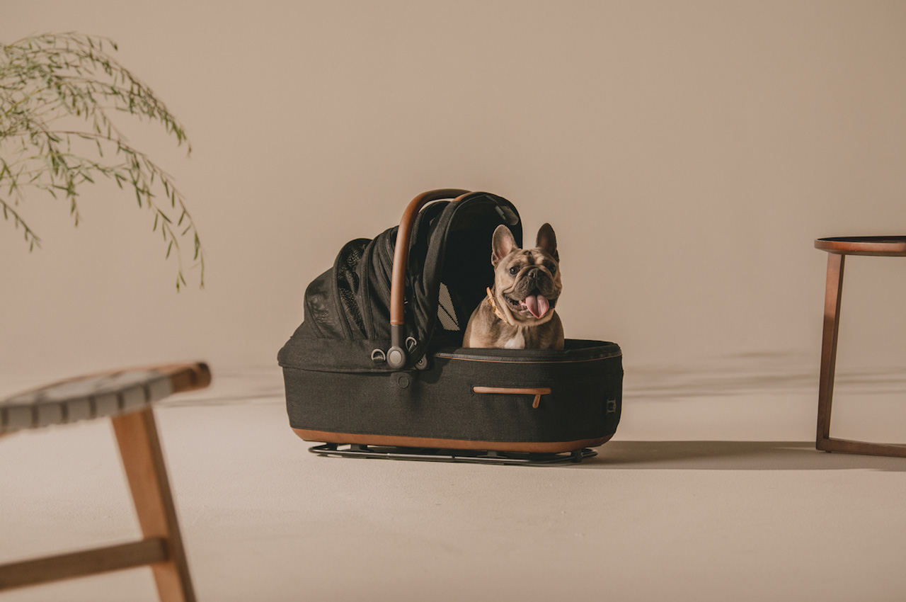 Pets，security，tool，