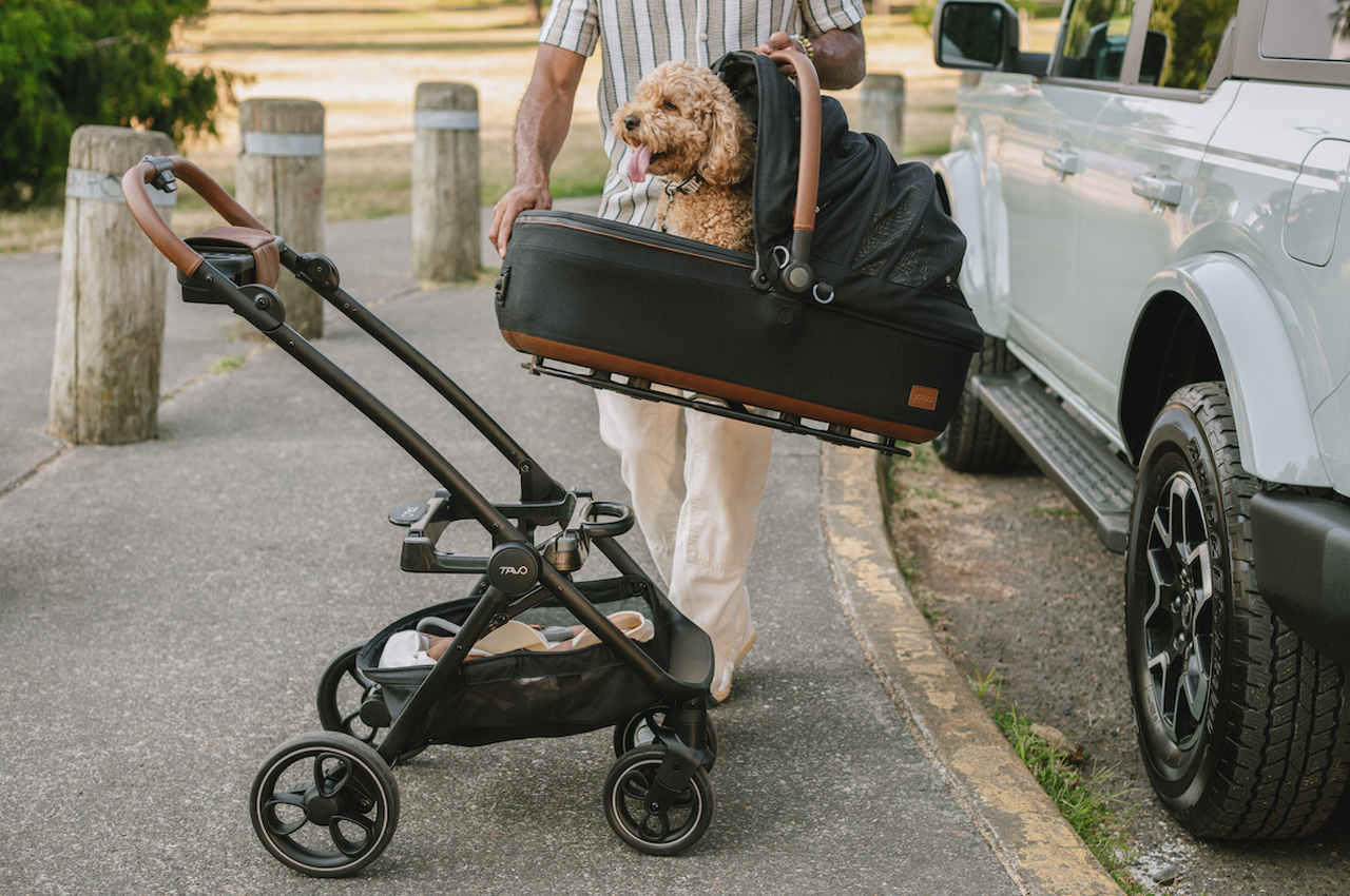 Pets，security，tool，