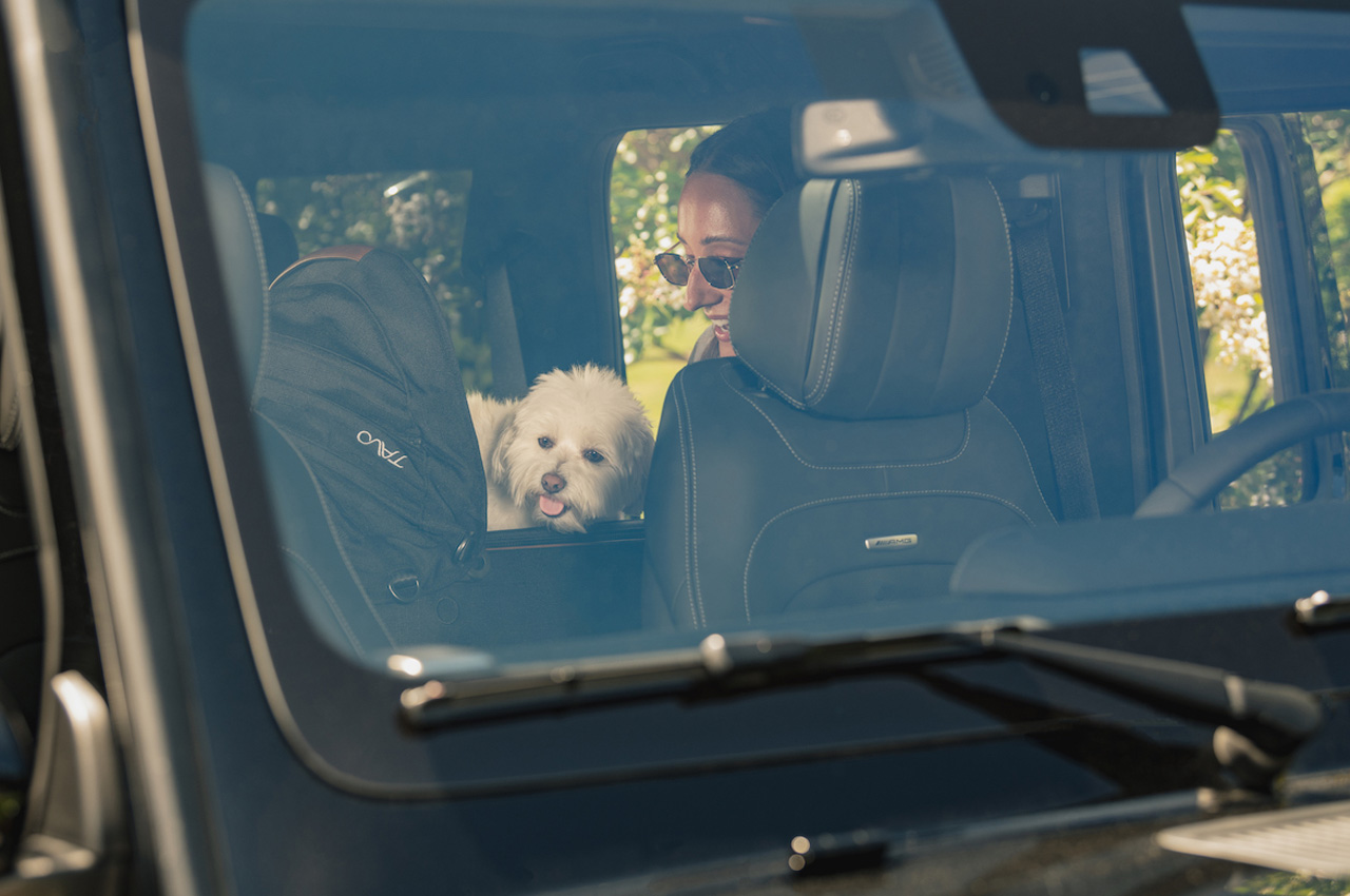 Pets，security，tool，