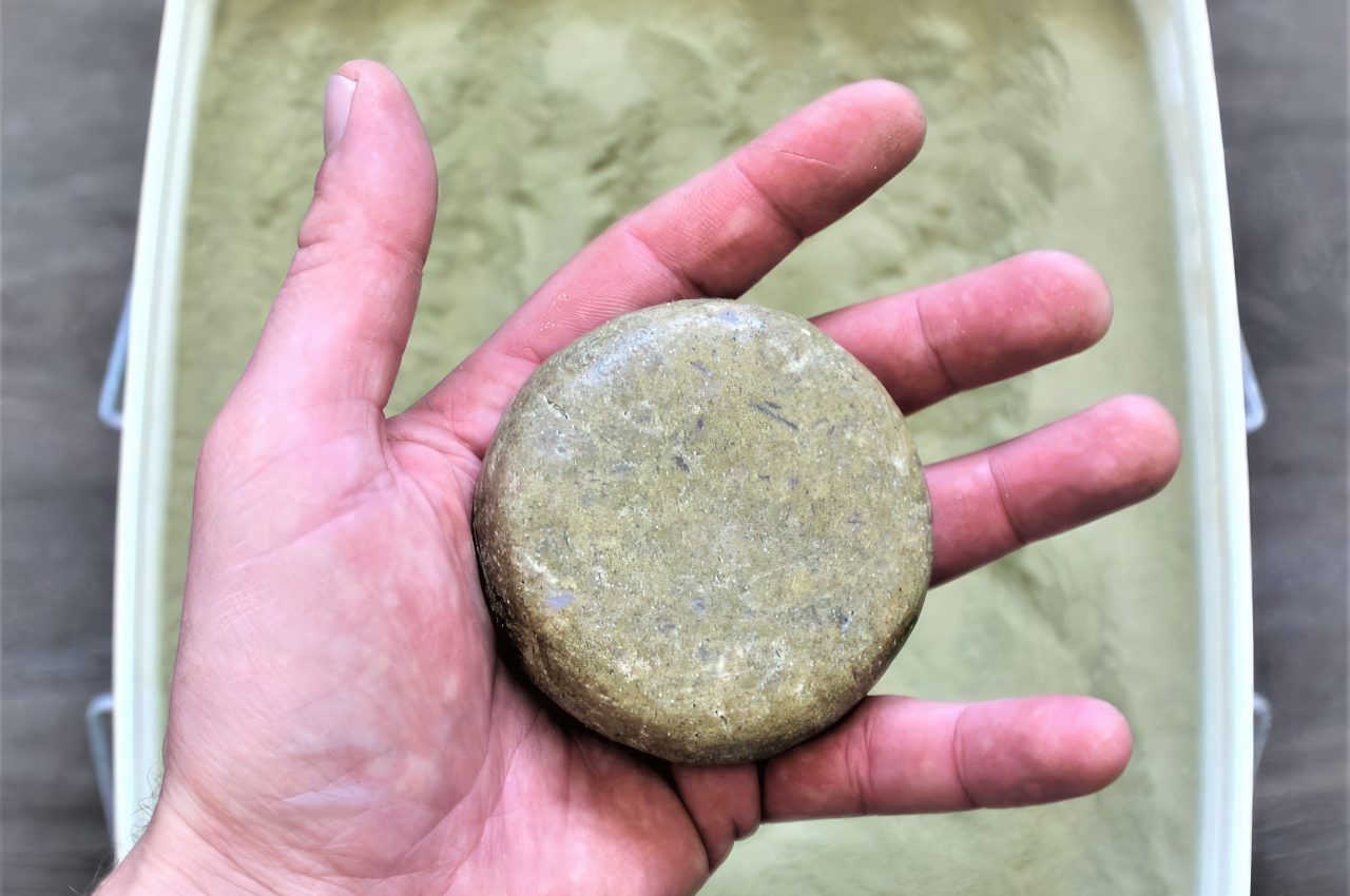 Surf board，environment protection，algae，