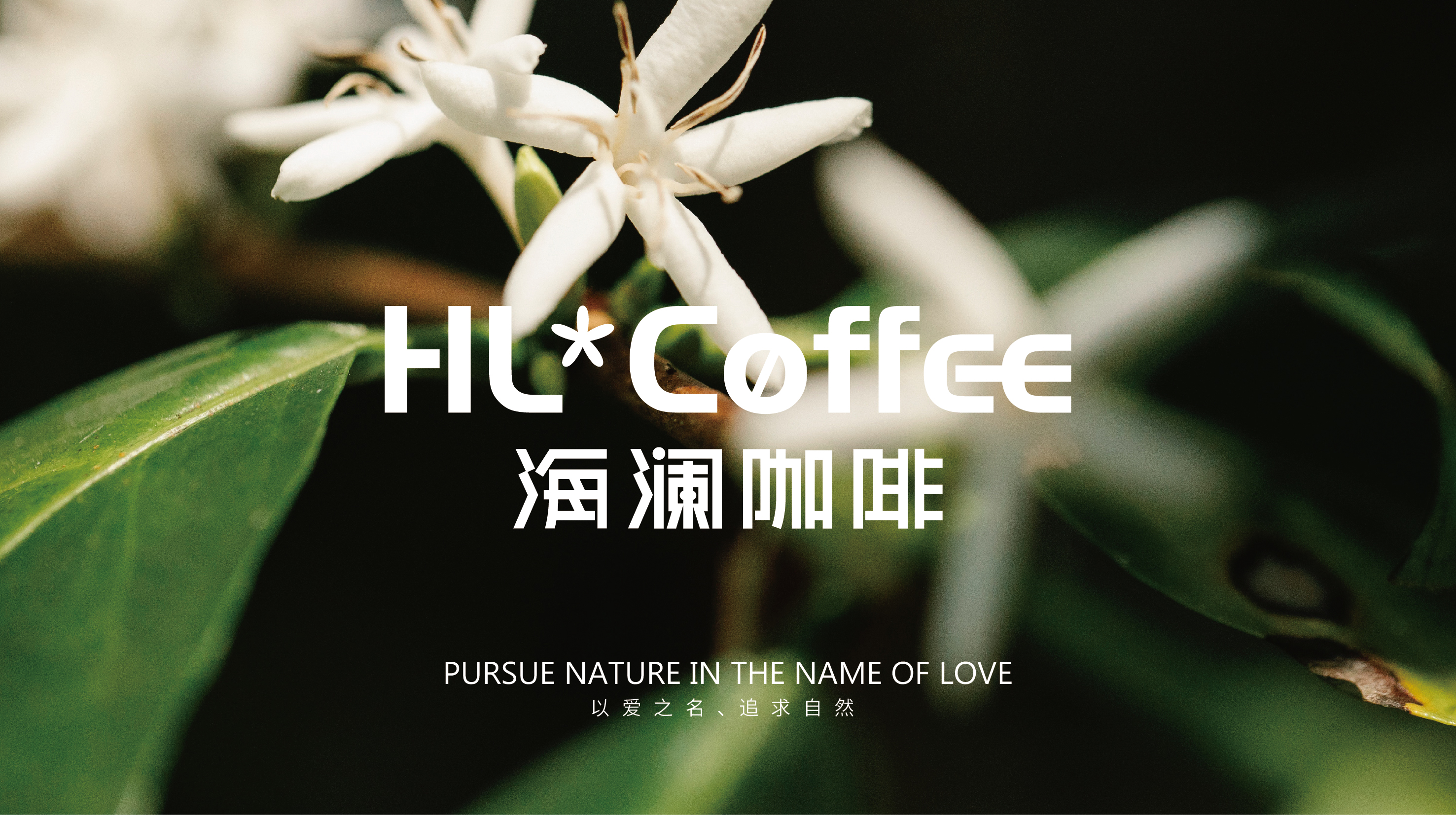 Brand design，Coffee Brand Design，Catering Brand Design，Fluor Design，Xi'an Design Company，Coffee brand VI design，packing design，15619076330，