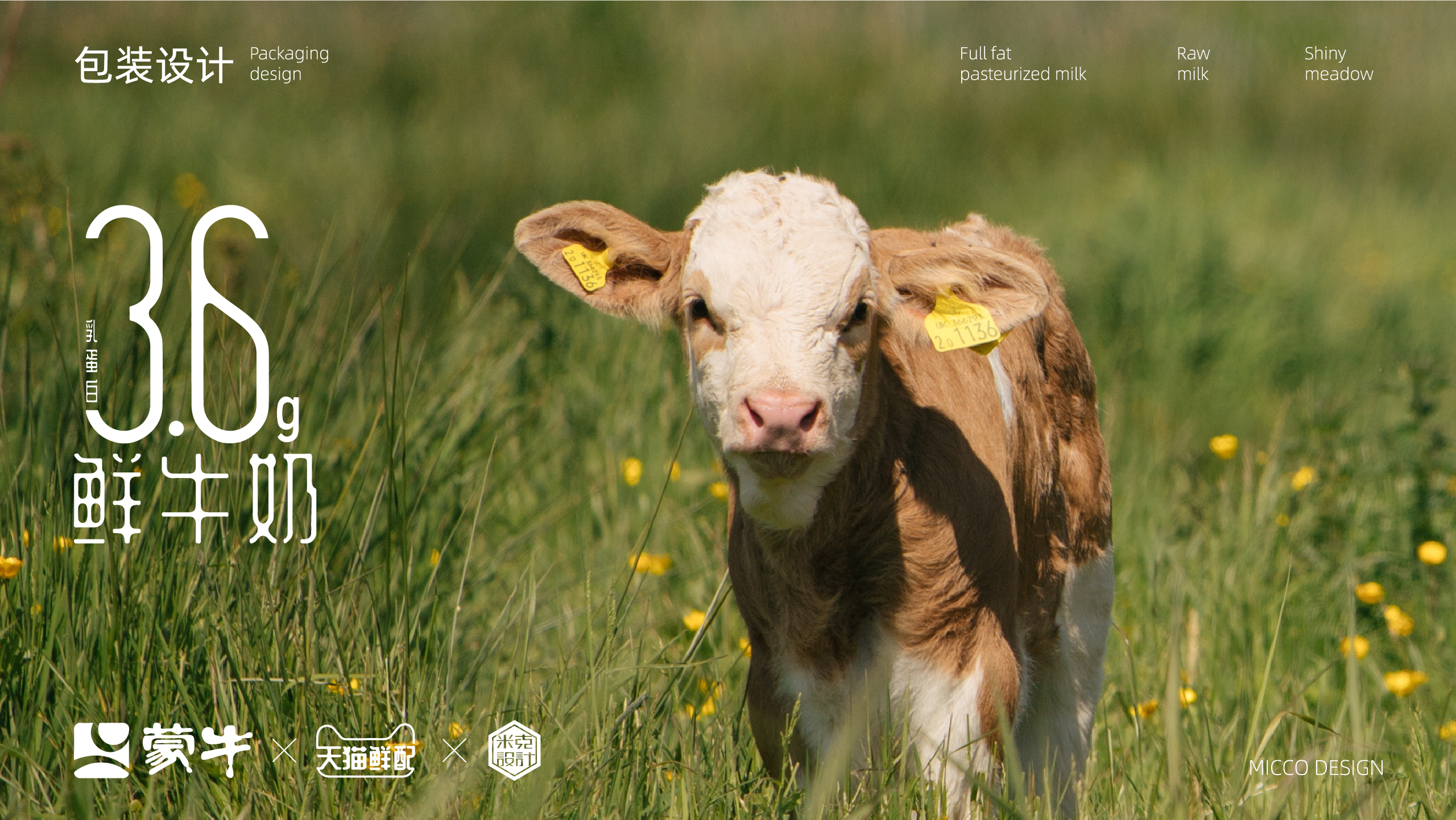 Original works，plane，packing，packing design，fresh milk，Bottle logo design，Graphic creativity，Production process，