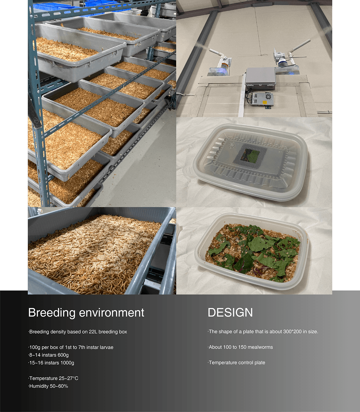 conceptual design，Me-Ho，Meal worm farming tools，originality，