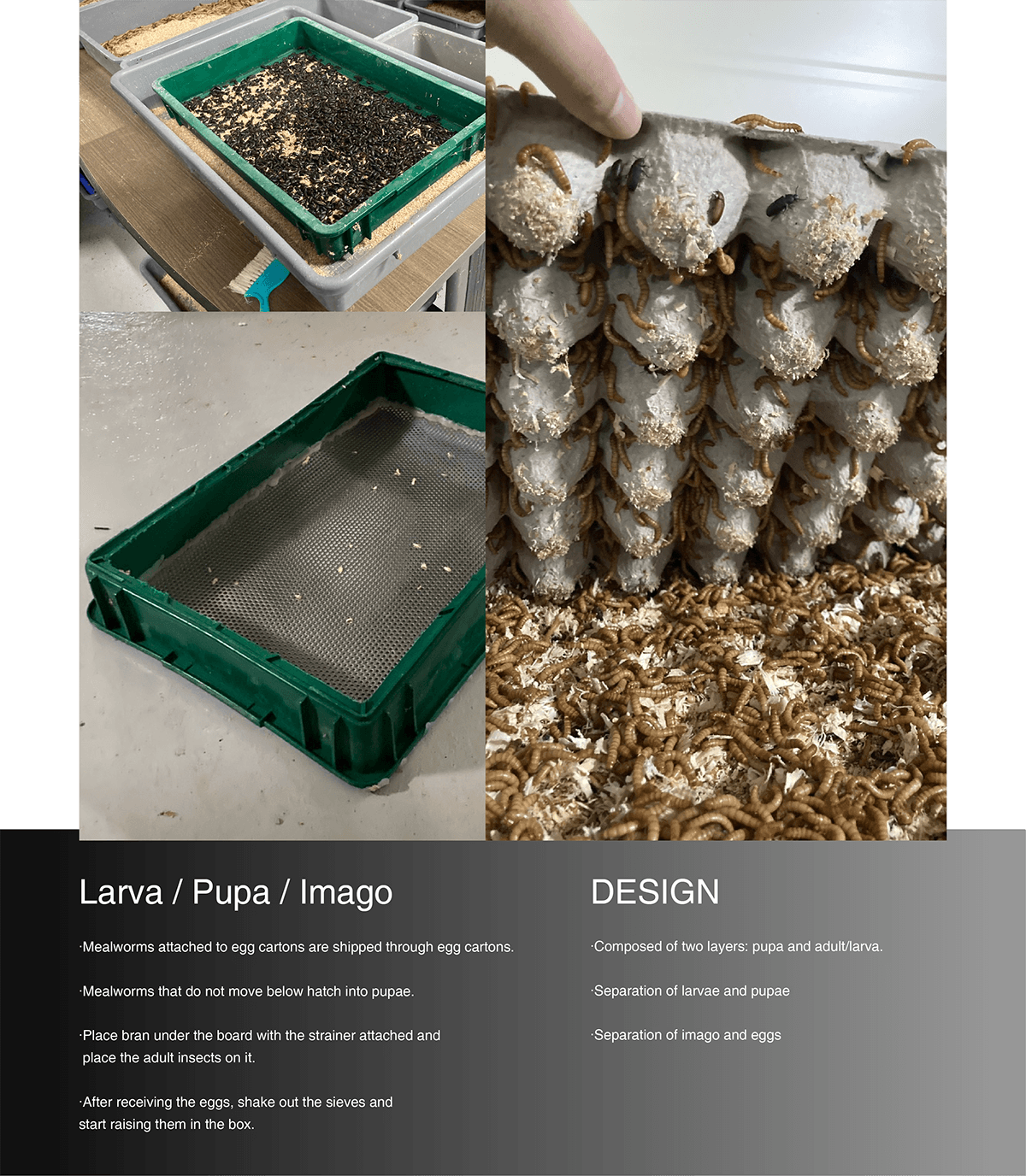 conceptual design，Me-Ho，Meal worm farming tools，originality，