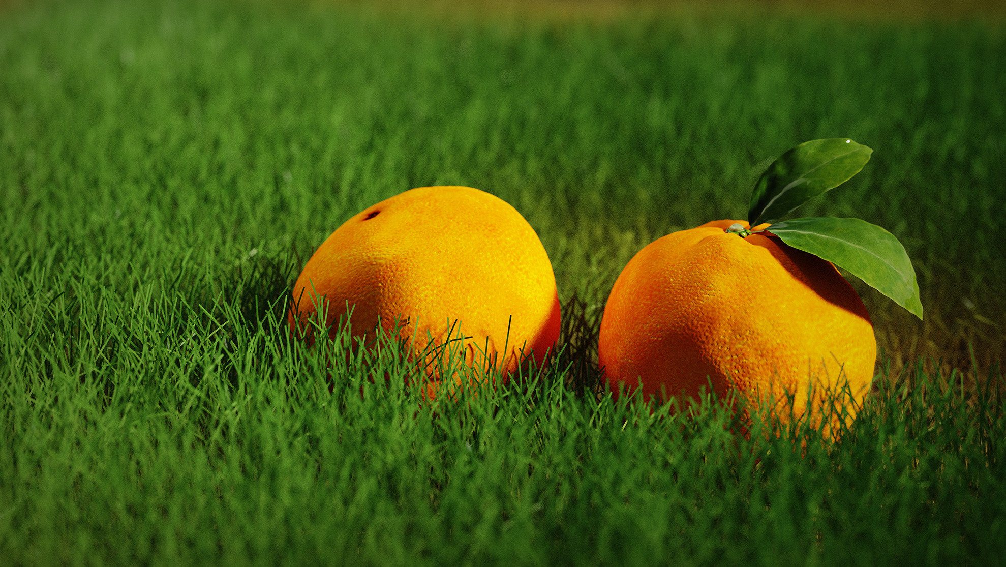 Fruits，keyshot，Scene design，