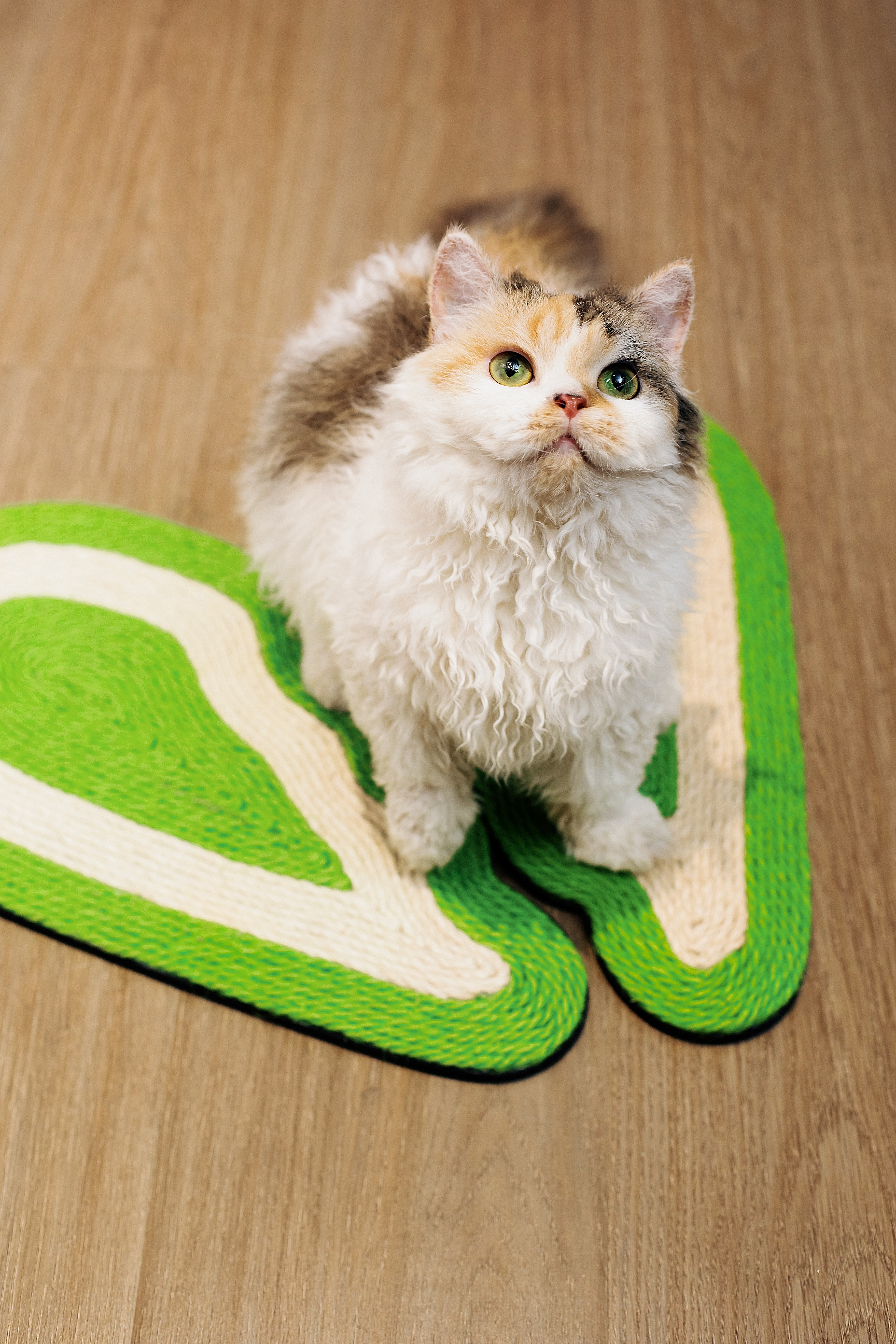 wing，Cat scratch board，Pet Supplies & Pet，Wall-mounted panel，Fashion Tide，sisal rope，
