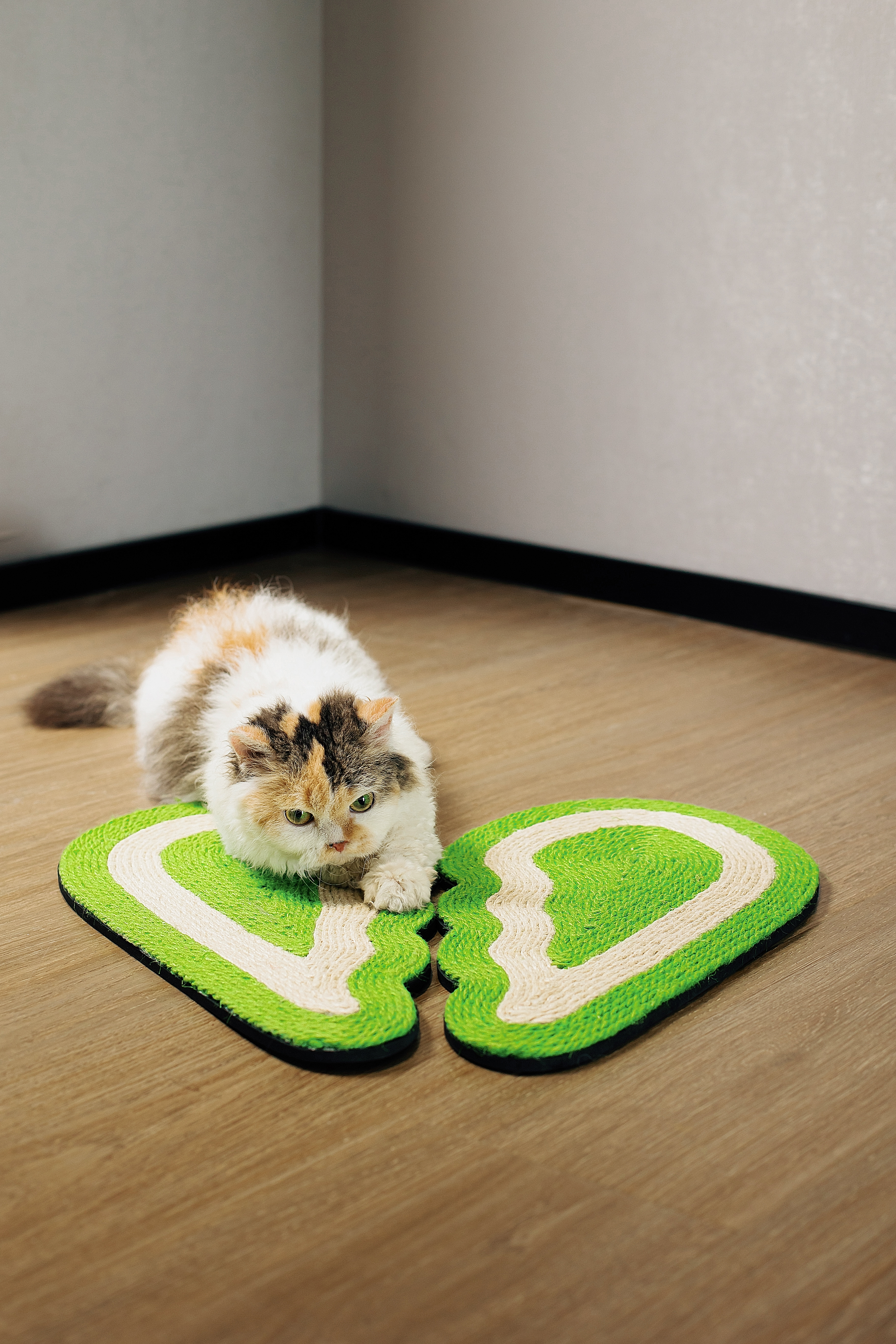 wing，Cat scratch board，Pet Supplies & Pet，Wall-mounted panel，Fashion Tide，sisal rope，