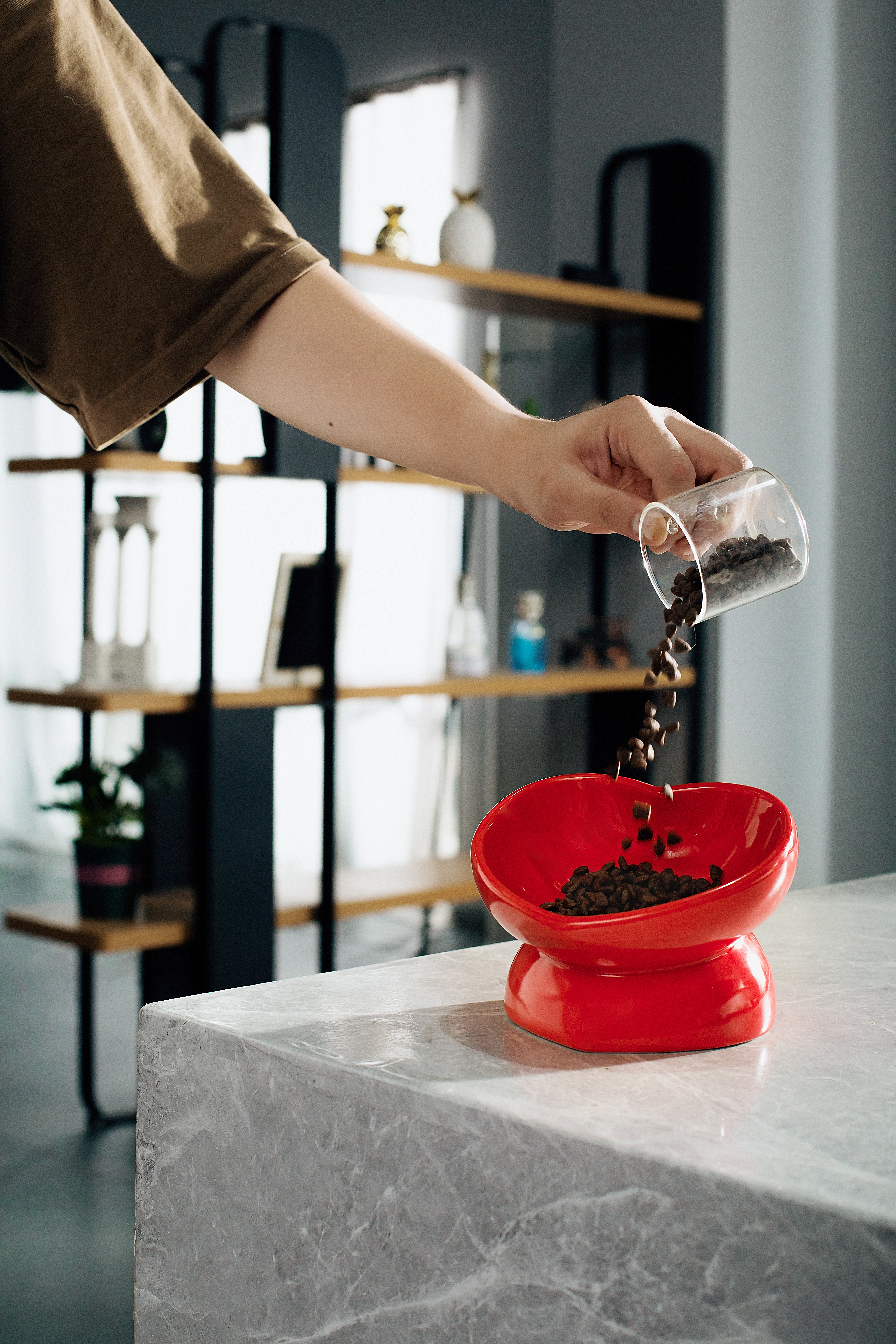 Cat bowl，Pet Supplies & Pet，Home Furnishing decoration，Love washing dishes，Porcelain，