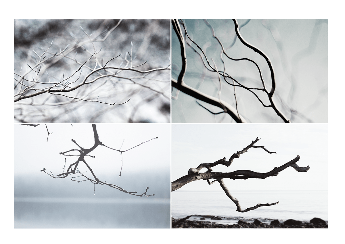 Vacuum cleaner，Household Electric Appliances，branzh，originality，