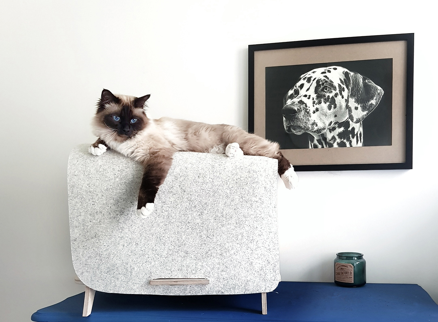 Wool felt，nest，fold，Merino，board，