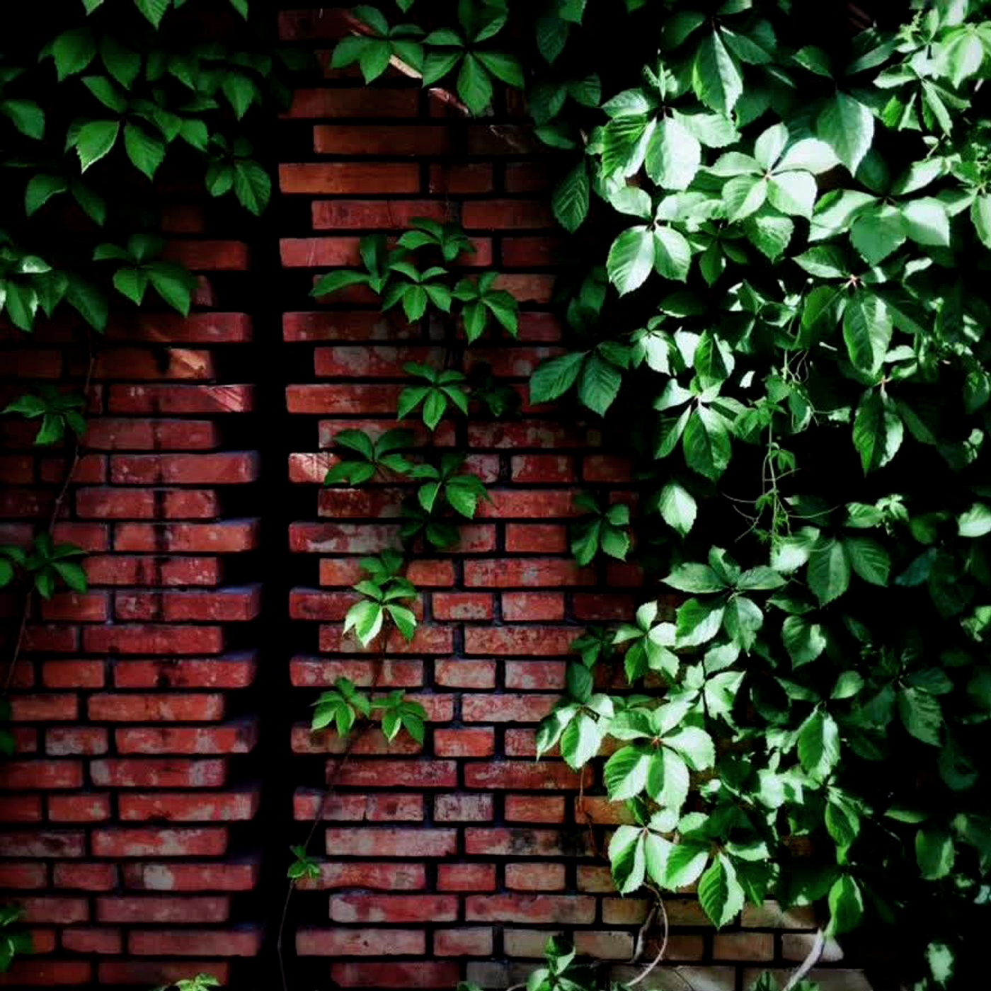 red brick，Craftsman，ceramics，Original by Aina，Craftsmanship，Chinese Philosophy，