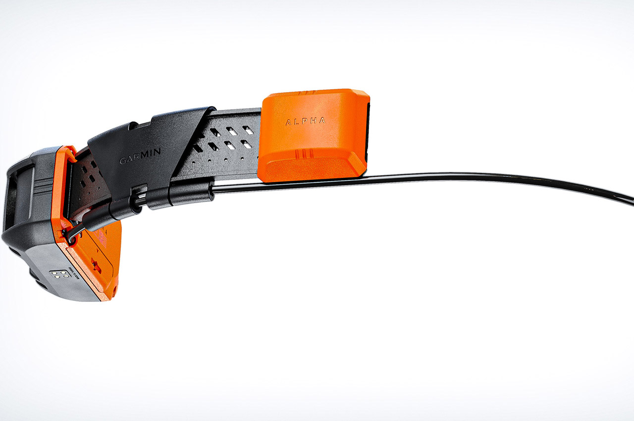 Garmin Alpha，product design，Pets，train，Design，