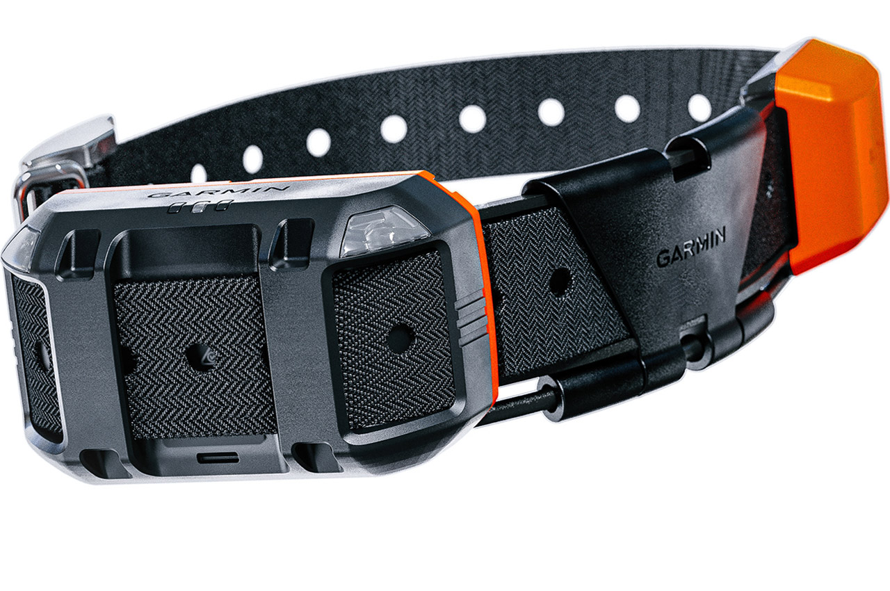 Garmin Alpha，product design，Pets，train，Design，