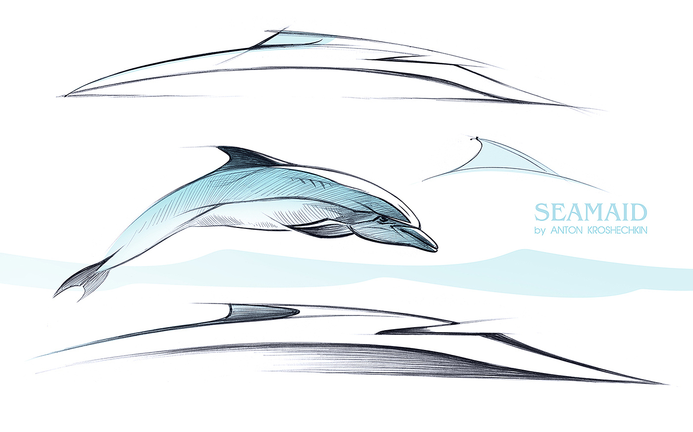 concept，ship，bionics，