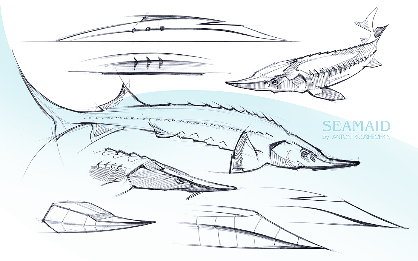 concept，ship，bionics，