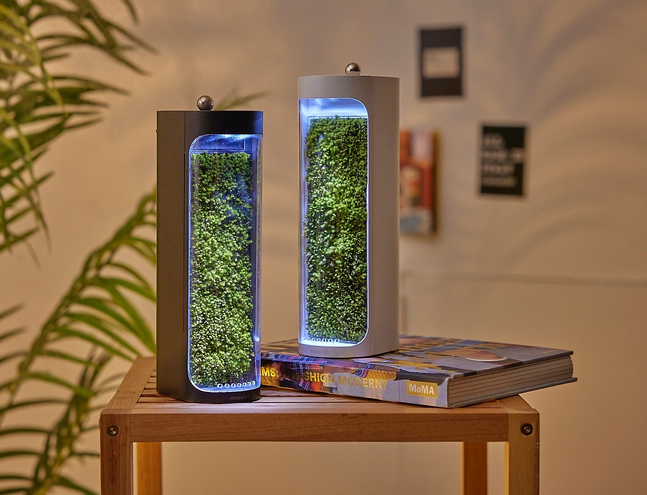 Moss Air，小家电，家用电器，空气净化器，