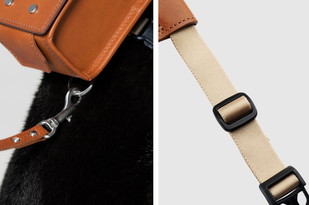 knapsack，product design，product，Pets，dog，