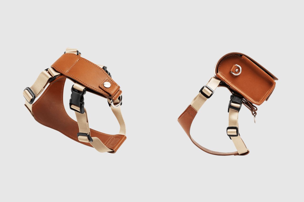 knapsack，product design，product，Pets，dog，