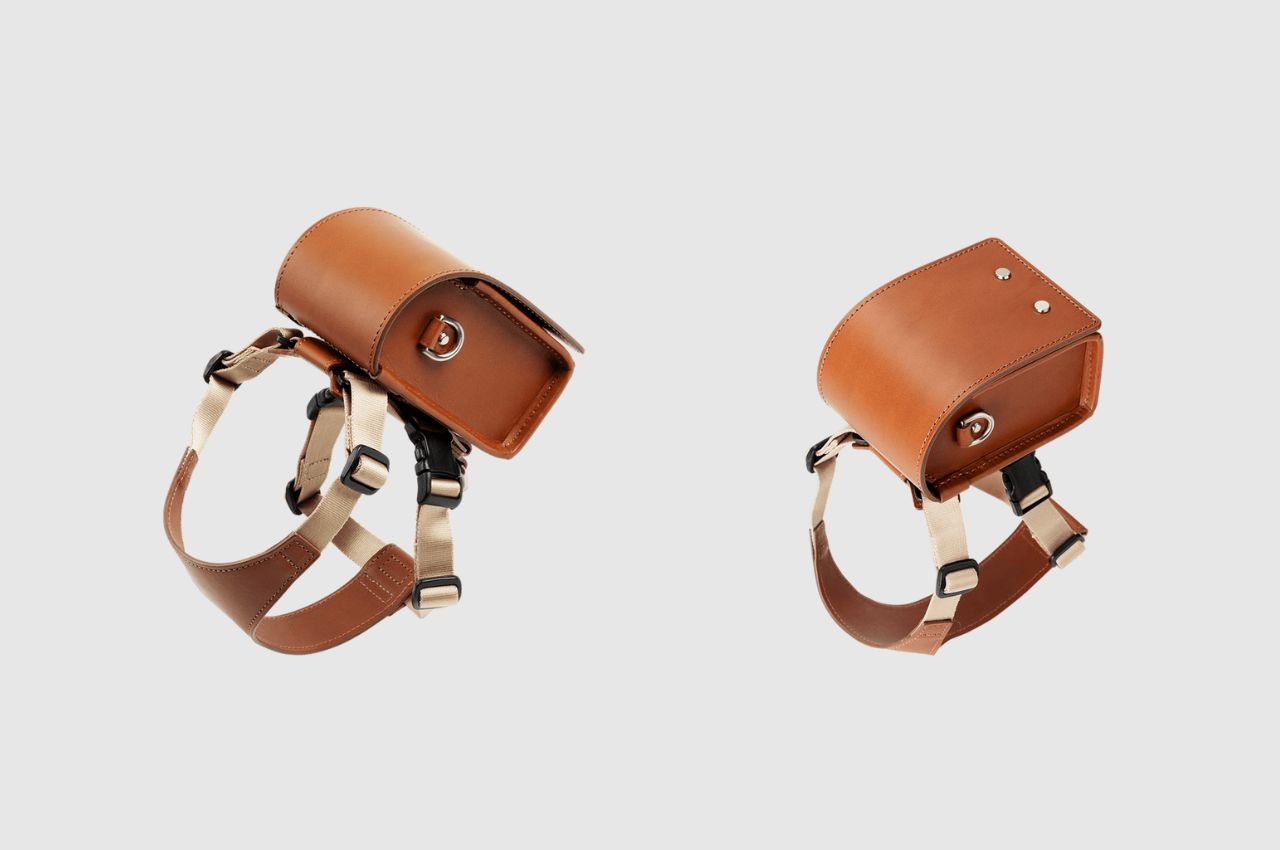 knapsack，product design，product，Pets，dog，