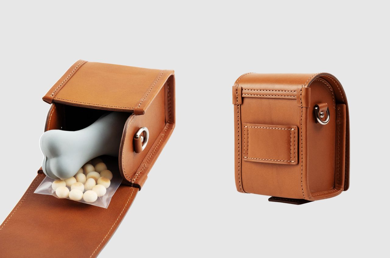 knapsack，product design，product，Pets，dog，