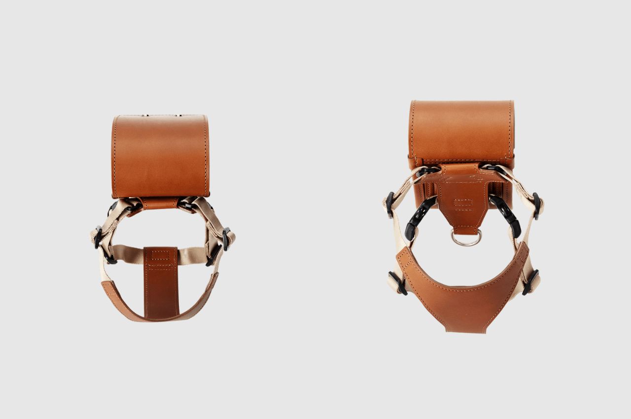 knapsack，product design，product，Pets，dog，