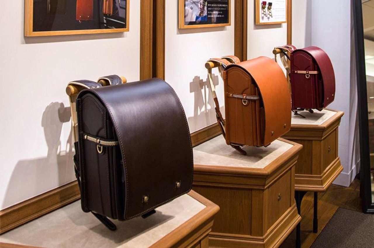 knapsack，product design，product，Pets，dog，