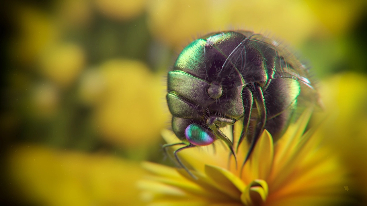 three-dimensional，character，biology，graphic design ，c4d，