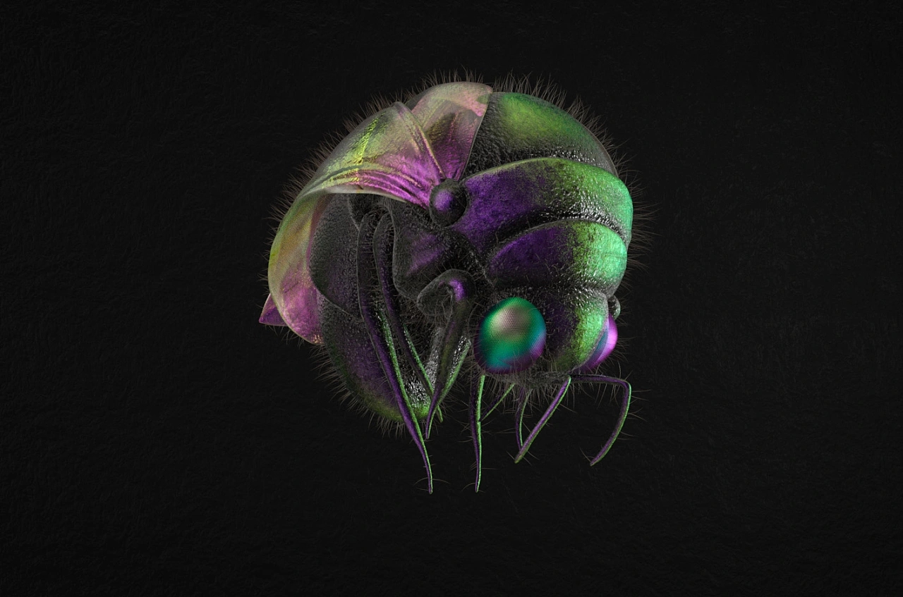 three-dimensional，character，biology，graphic design ，c4d，