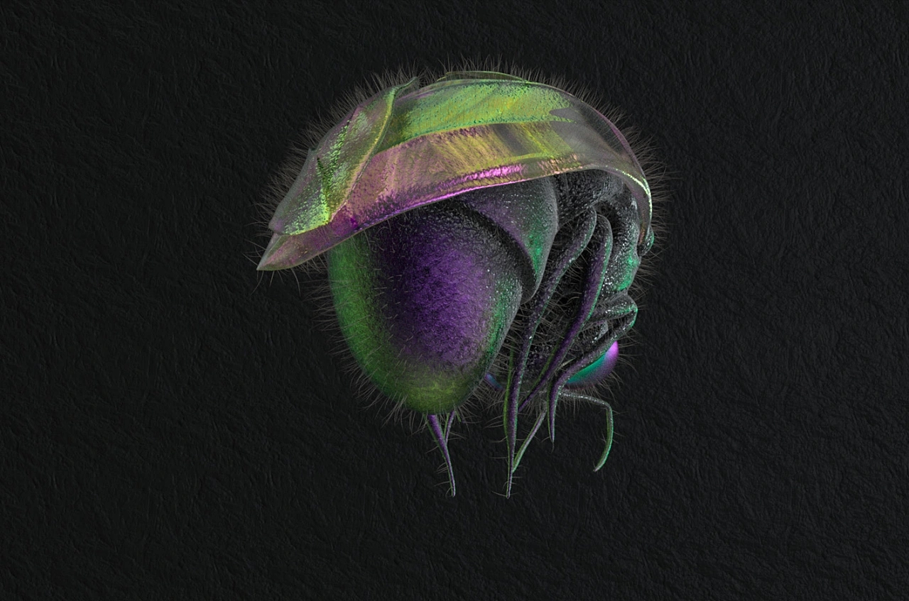 three-dimensional，character，biology，graphic design ，c4d，