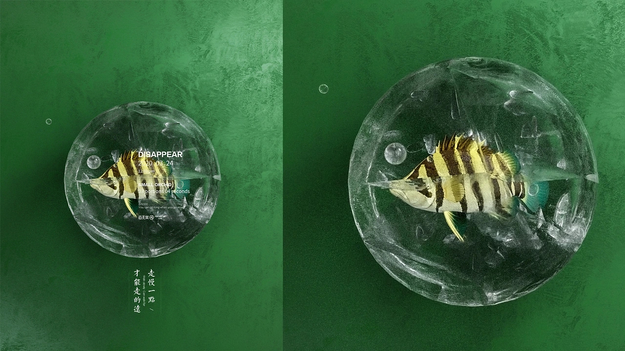 Ice cube rendering，three-dimensional，graphic design ，c4d，