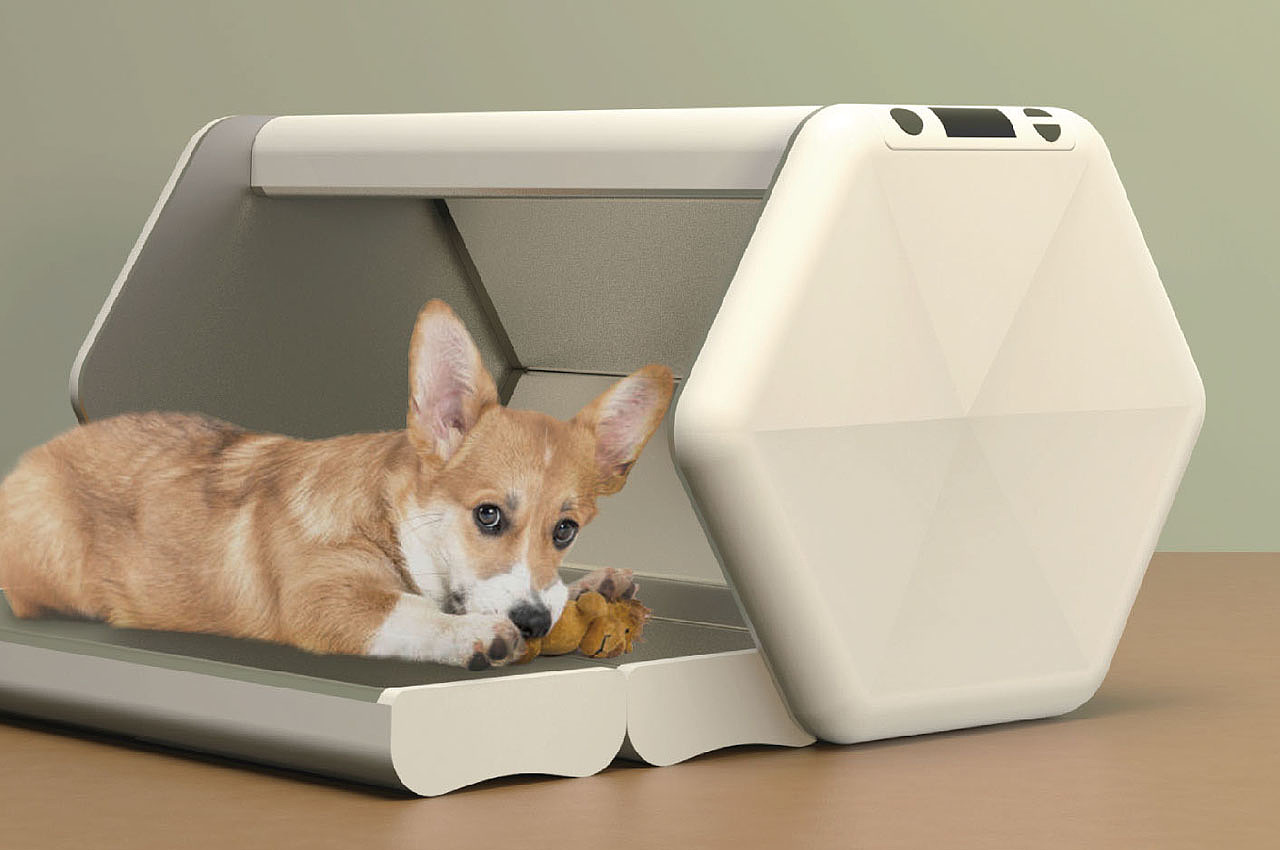 Pets，Pet Supplies & Pet，dog，Bed，