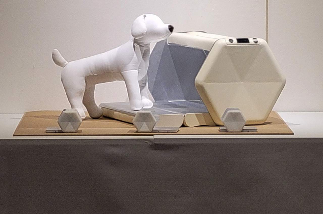 Pets，Pet Supplies & Pet，dog，Bed，