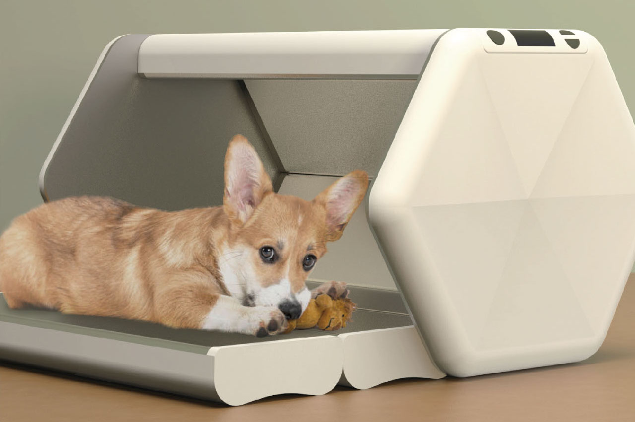 Pets，Pet Supplies & Pet，dog，Bed，