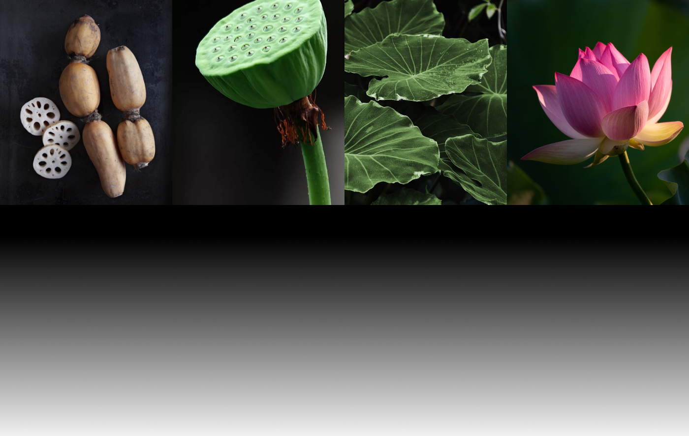 Foko，pen container，product design，to work in an office，