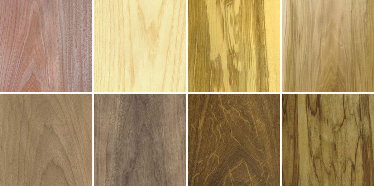 a chandelier，OLED，product design，