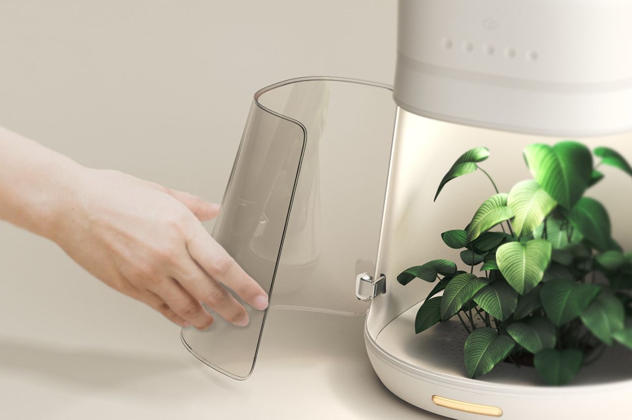 agriculture products，REGROW，family agriculture，product design，