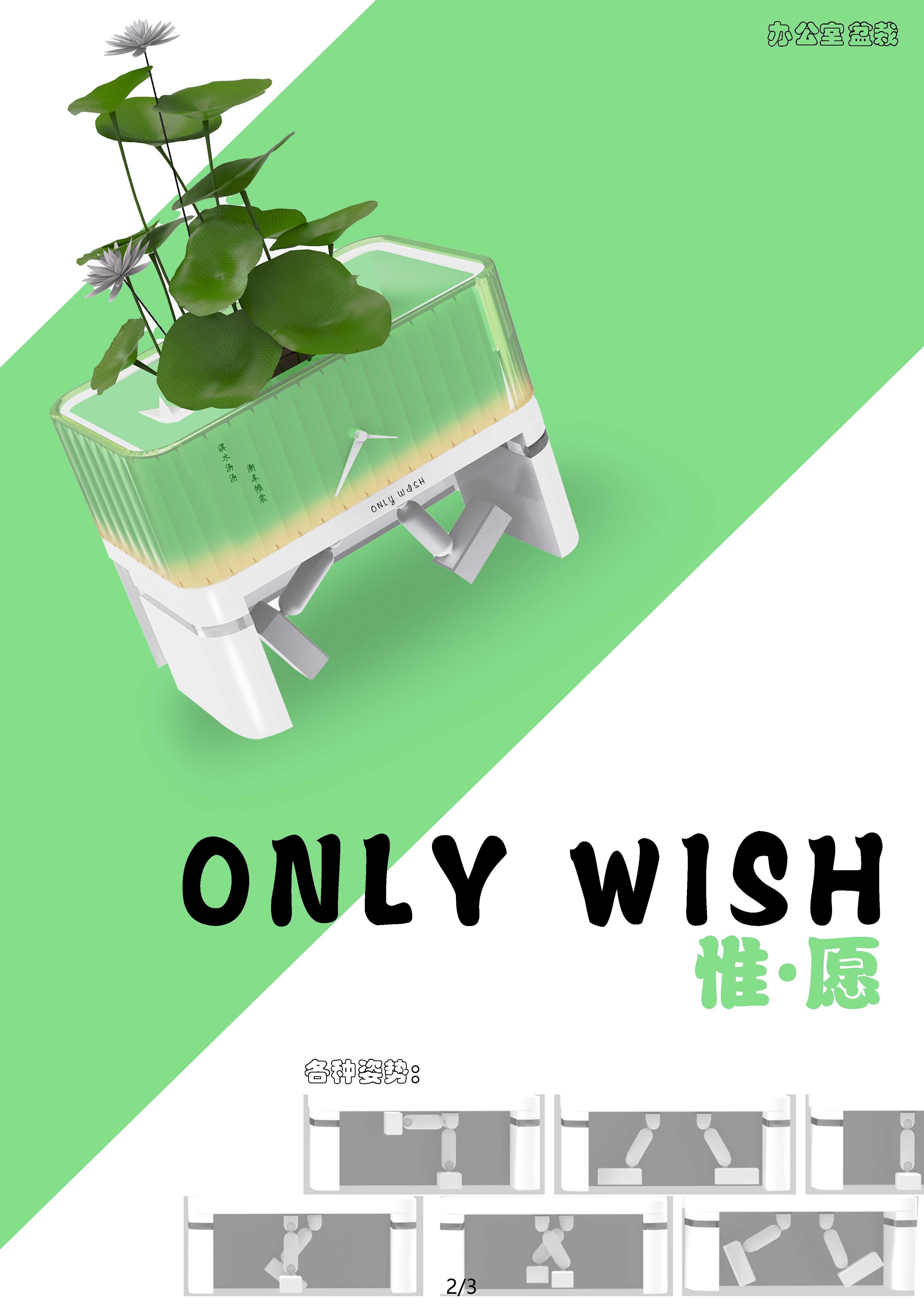 Potted plants，office，Flowerpot，