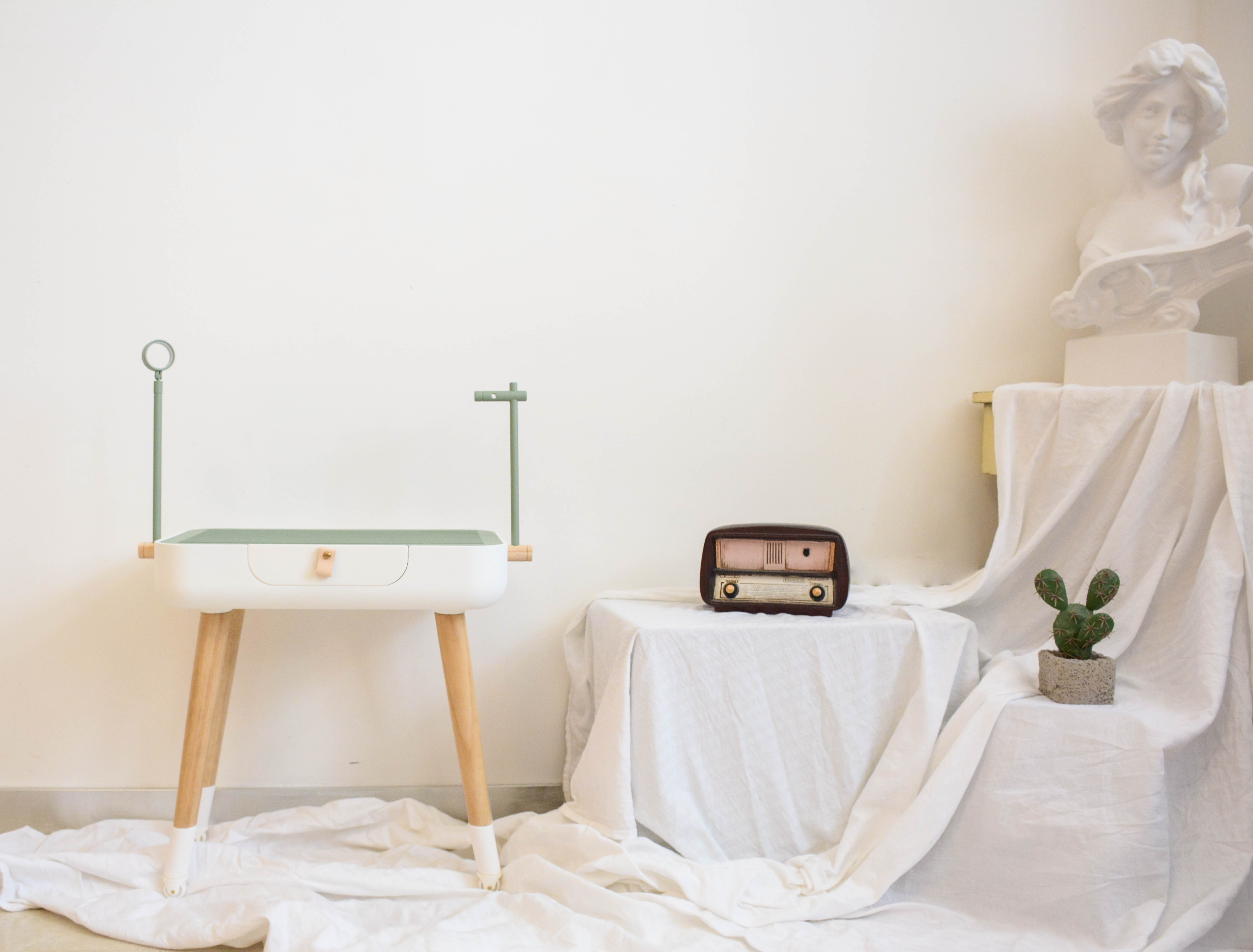 Pets，Pet Beauty，dog，Table，