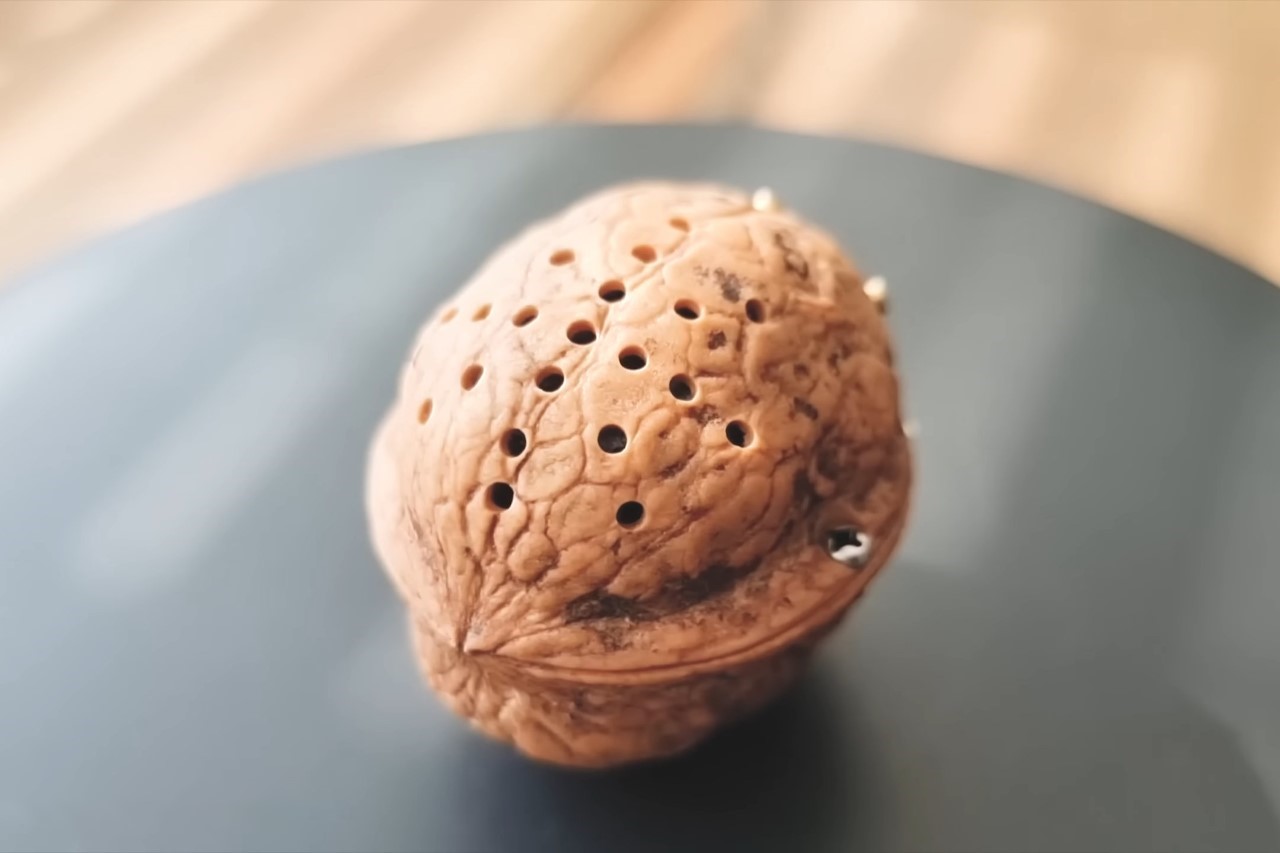 speaker，loudspeaker box，Digital，Electronic equipment，