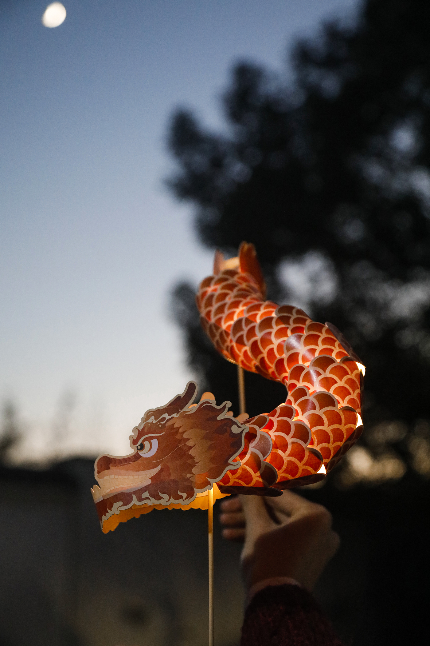 Dragon Dance，New Year gift，Year of the Dragon，manual，